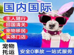 徕宁航空空运国际宠物托运 【国